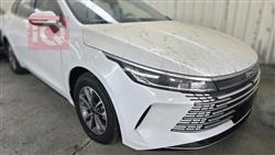 بي واي دي ديستروير 05